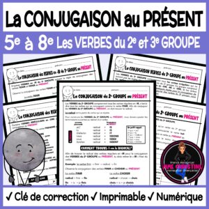 VERBES au PRÉSENT 2e et 3e groupes - Cahier d'exercices - Present Tense French Verbs Workbooks