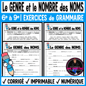 French Noun Gender & Number | 4 French Grammar Worksheets | Genre et nombre