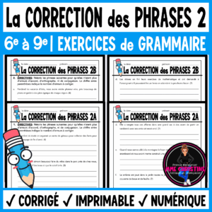 French Sentence Correction 2 | Editing & Grammar | 4 French Grammar Worksheets