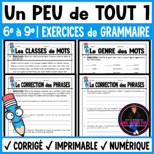 French Grammar Worksheets | Sentence Correction, Parts of Speech & Noun Gender
