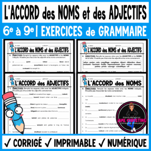 French Noun and Adjective Agreement | 4 Grammar Worksheets + Digital | Grammaire