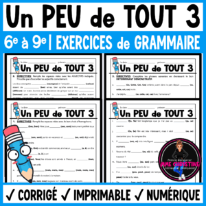 French Grammar Review Worksheets | Un peu de tout 3
