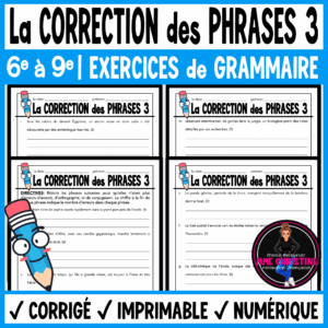 French Sentence Correction Worksheets | Grammar & Spelling | La corrections des phrases 3