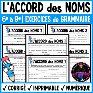 French Noun Agreement Worksheets | Gender and Number | Le genre et le nombre
