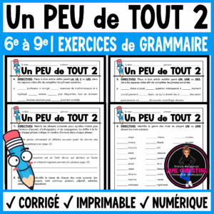 French Grammar Review Worksheets | Un peu de tout 2 | La grammaire
